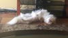 Tucker of Boca Raton, FL