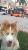 Tucker of Boca Raton, FL