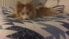 Tucker of Boca Raton, FL