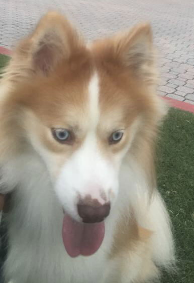 Tucker of Boca Raton, FL