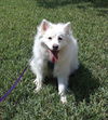 Nimbus of Kissimmee, FL