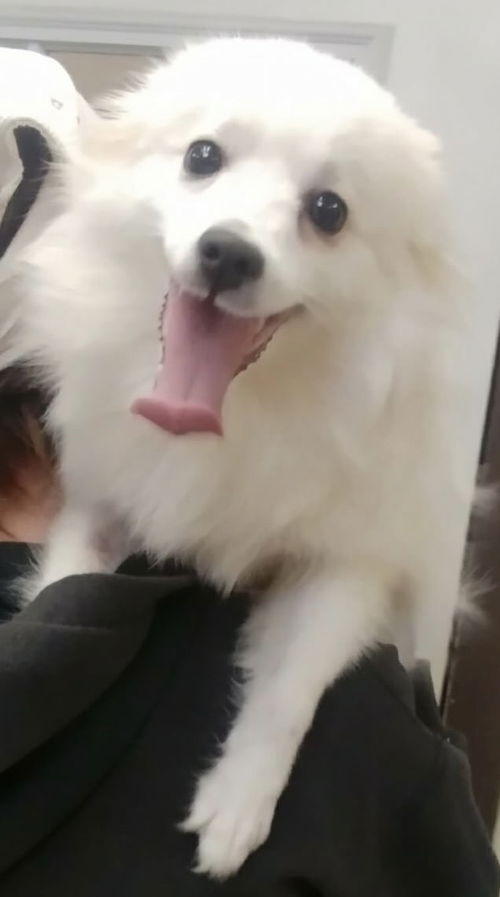 Lucy of Clarksville, TN