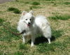 Lucy of Clarksville, TN
