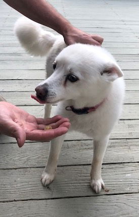 Rosie of  Catawissa, PA