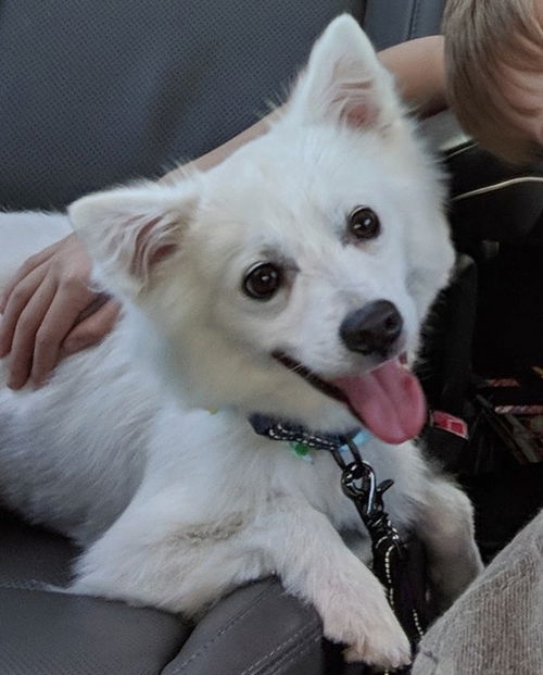 KOBE of Mobile, Alabama