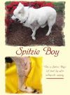 Spitzie Boy (in NC)