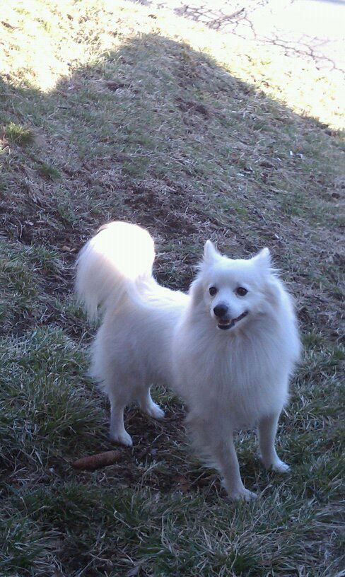 Kobe from Pittsburgh, PA