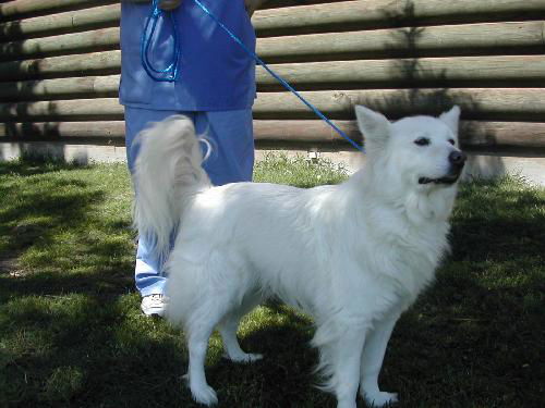 Snowball of Slidell, LA