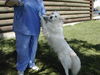 Snowball of Slidell, LA