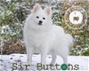 Sir Buttons of KY