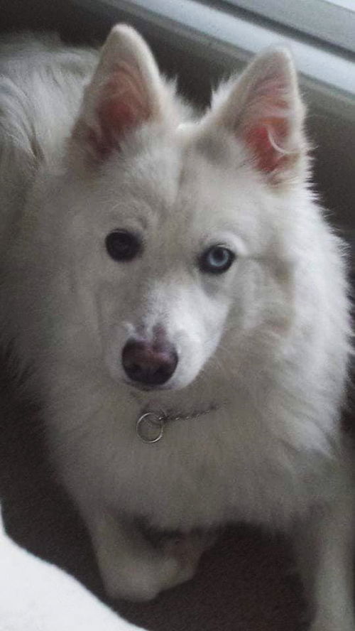Kisu of Columbus Ohio