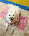 Portia of South FL