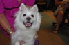 Asia in CO