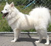 Asha of PA