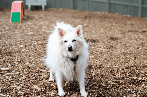 Teena of Briarcliff Manor, NY