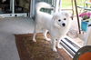 Luna of Ohio