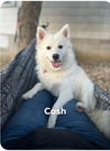 Cash of KY