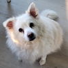 Casper of MD