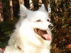 Sweet Misty of OH