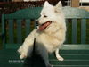 Sweet Misty of OH