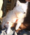 Sweet Misty of OH
