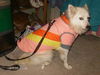 Sweet Misty of OH