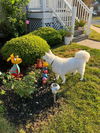 Snuka of Mays Landing NJ
