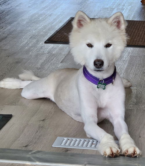 Kyra