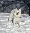 Aspen of  Jamestown, ND