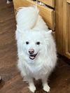 Roscoe of GA