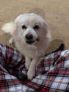 Daisy of KY