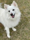 Finley of Durham NC