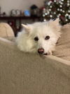 Finley of Durham NC