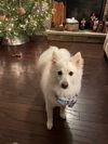 Finley of Durham NC