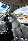 Akina of Central FL