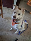 Luna of Central FL