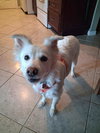 Luna of Central FL
