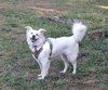 Luna of Central FL