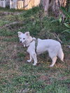 Luna of Central FL