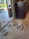Luna of Central FL