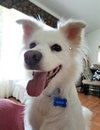 Luna of Central FL