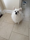 Casper of FL (aka Ghost)