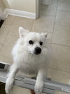 Casper of FL (aka Ghost)