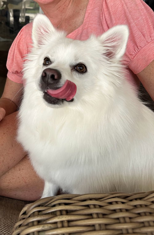 Casper of FL (aka Ghost)