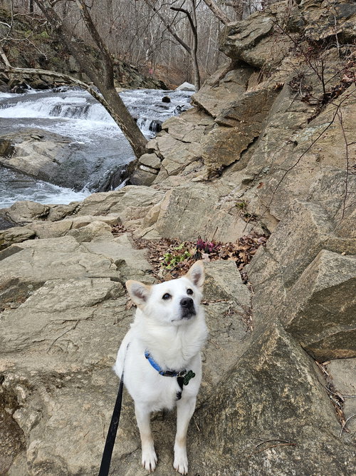 Buckley of MD