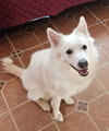 Georgie of MD