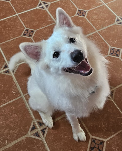Georgie of MD