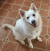 Georgie of MD