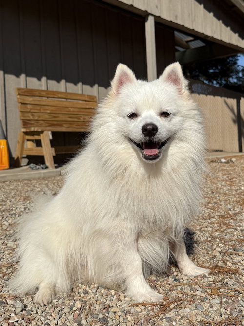 Rufus of Wautoma WI