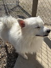 Rufus of Wautoma WI